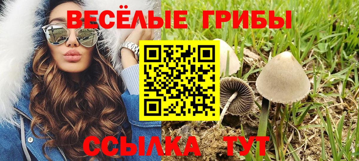 Галлюциногенные грибы мицелий Саяногорск